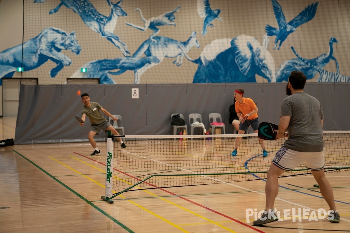 Photo of Pickleball at Pulteney Grammar School